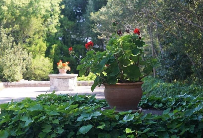 هتل روستایی Finca Son Vivot