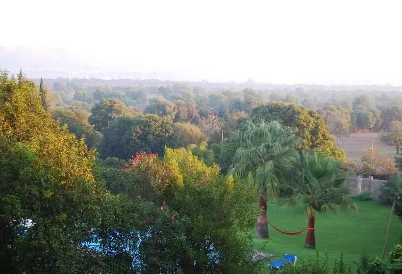 Hotel Rural Finca Son Vivot