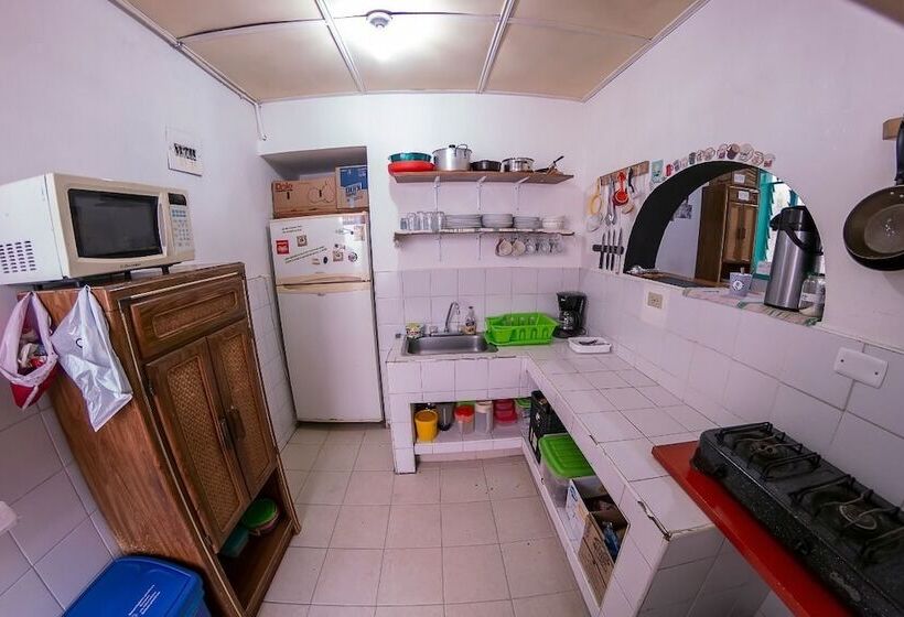 Medallo Social Hostal Hostel