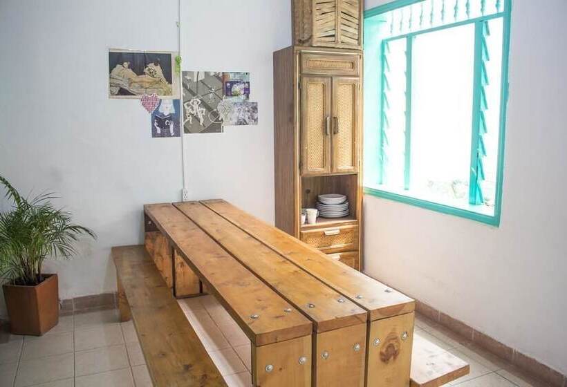 Medallo Social Hostal Hostel