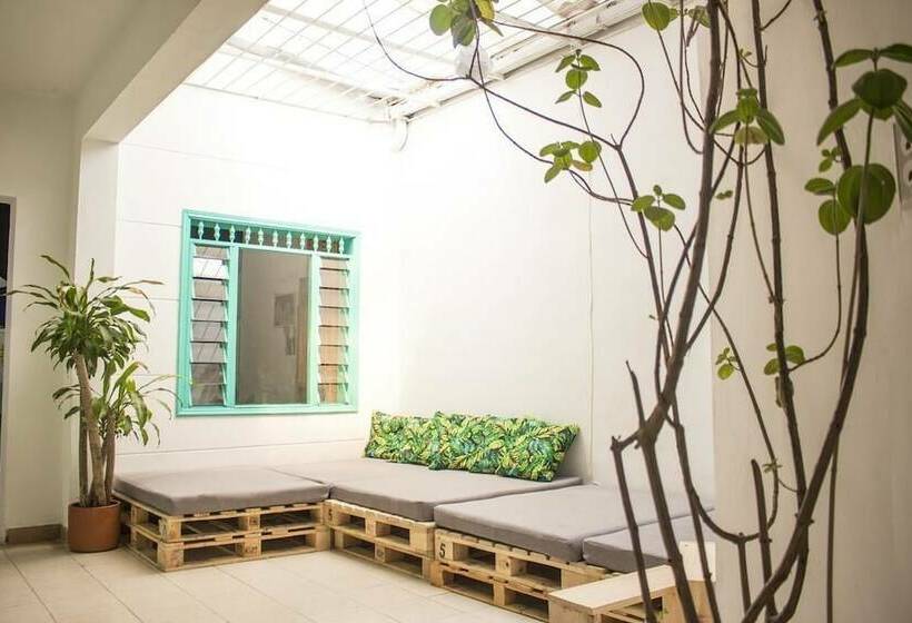 Medallo Social Hostal Hostel