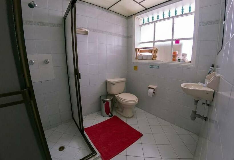 Medallo Social Hostal Hostel