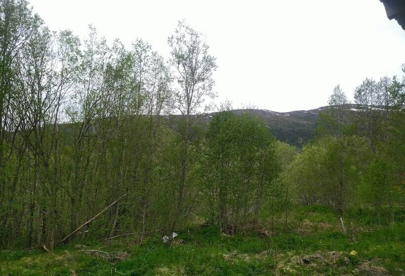 פנסיון Holandsvika Bomiljø