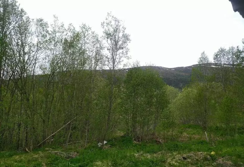 Majatalo Holandsvika Bomiljø