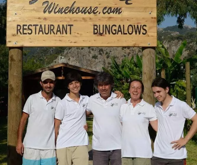 Majatalo Sakin Vadi Winehouse