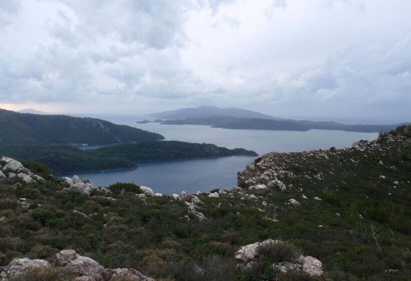 Pensão Sakin Vadi Winehouse