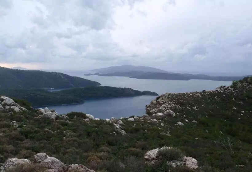 Majatalo Sakin Vadi Winehouse