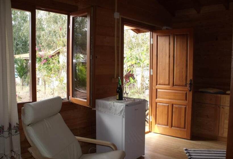 Pensão Sakin Vadi Winehouse