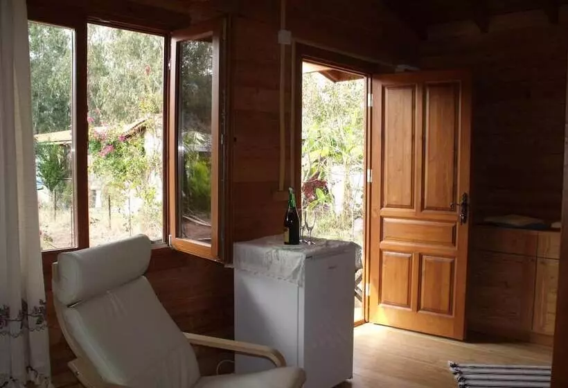 Majatalo Sakin Vadi Winehouse