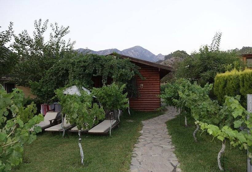 Pensão Sakin Vadi Winehouse