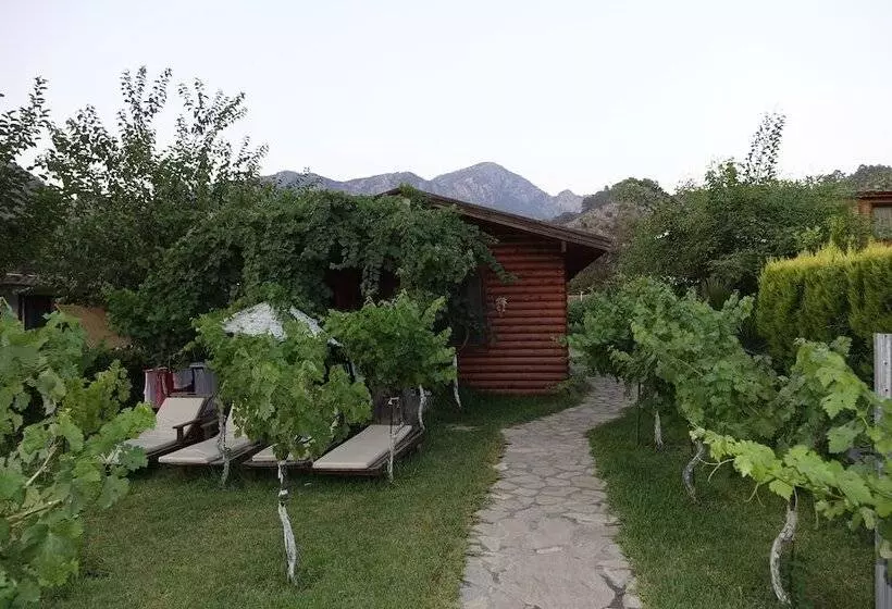 Majatalo Sakin Vadi Winehouse