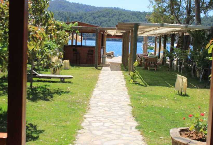 Pensão Sakin Vadi Winehouse