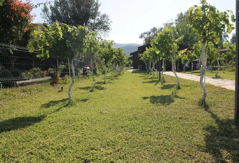 Majatalo Sakin Vadi Winehouse