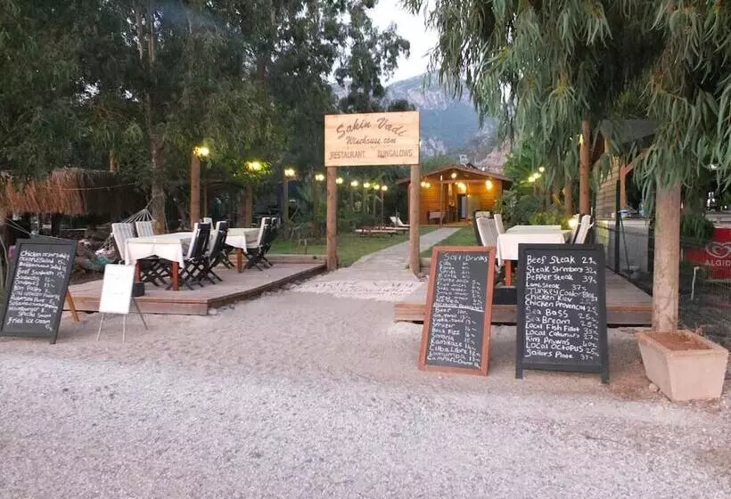 Majatalo Sakin Vadi Winehouse