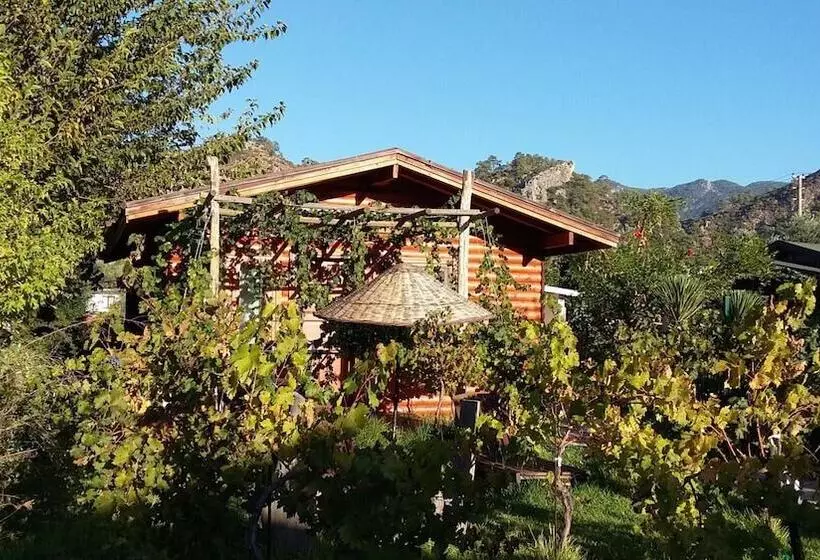 Majatalo Sakin Vadi Winehouse