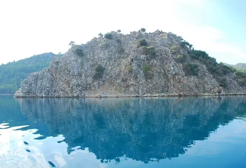 Majatalo Sakin Vadi Winehouse