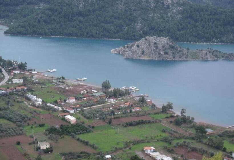 Pensão Sakin Vadi Winehouse