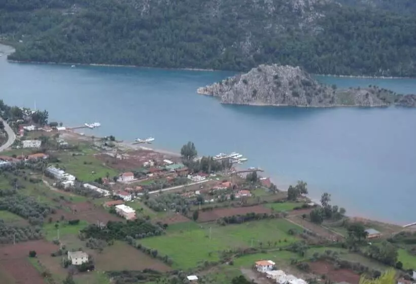 Majatalo Sakin Vadi Winehouse