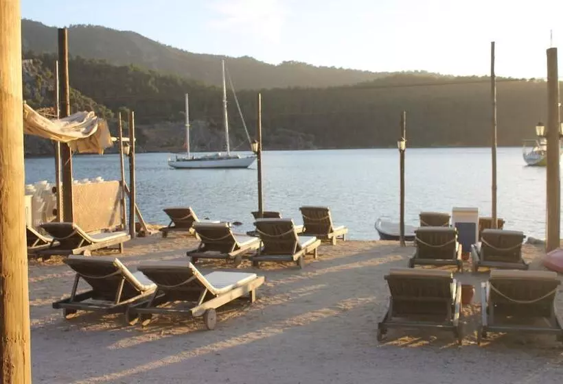 Majatalo Sakin Vadi Winehouse