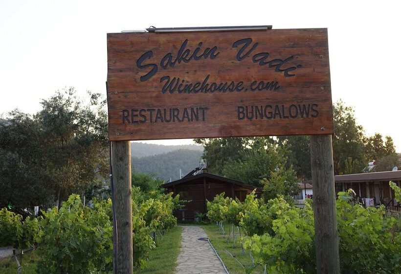 Pensão Sakin Vadi Winehouse