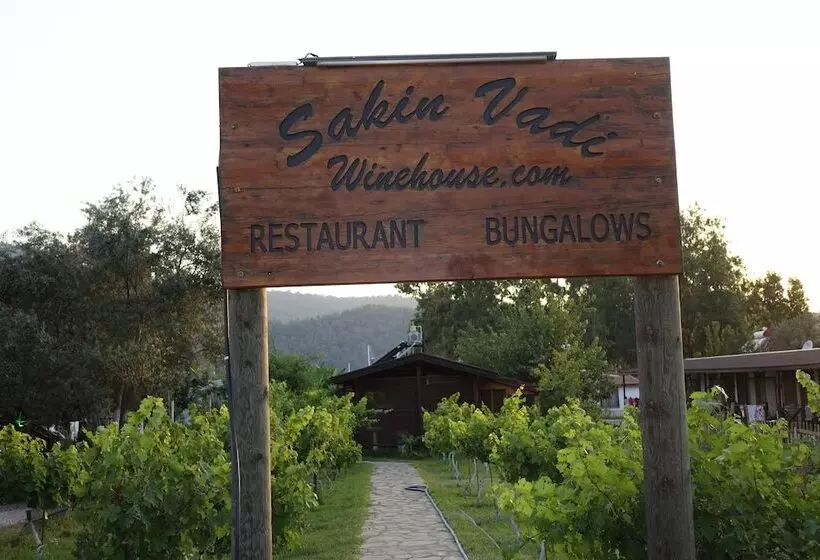 Majatalo Sakin Vadi Winehouse