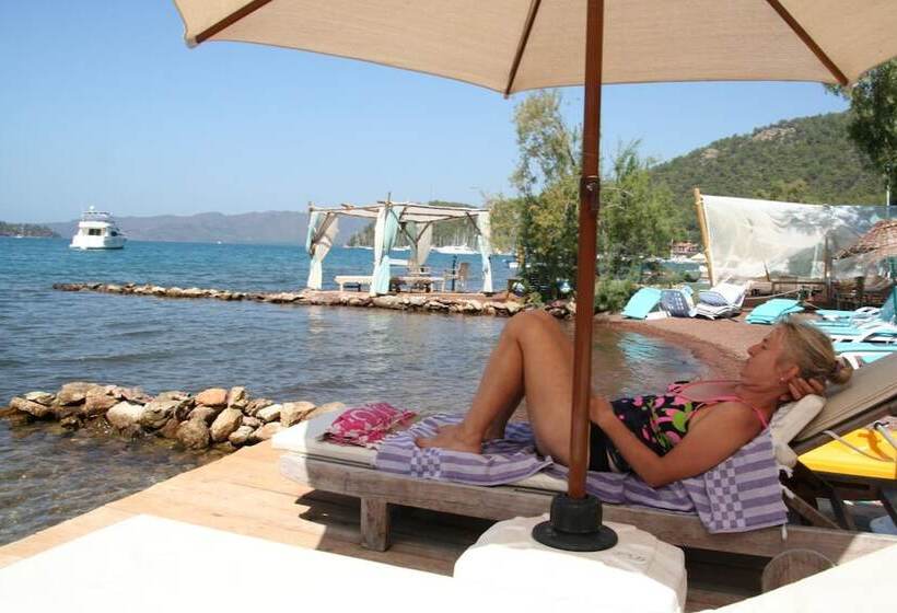 Pensão Sakin Vadi Winehouse