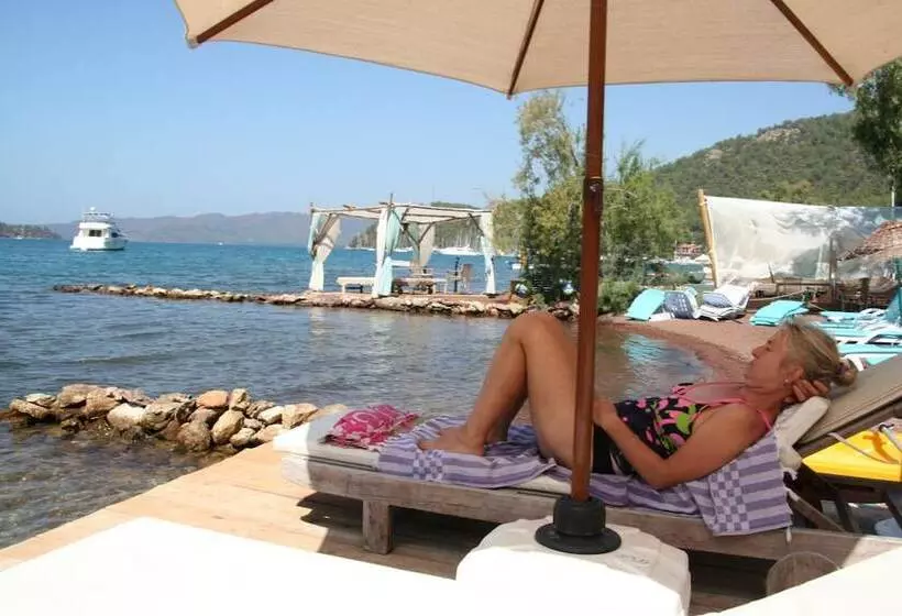 Majatalo Sakin Vadi Winehouse