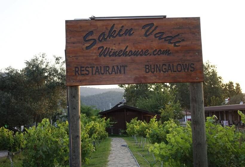 Pensão Sakin Vadi Winehouse