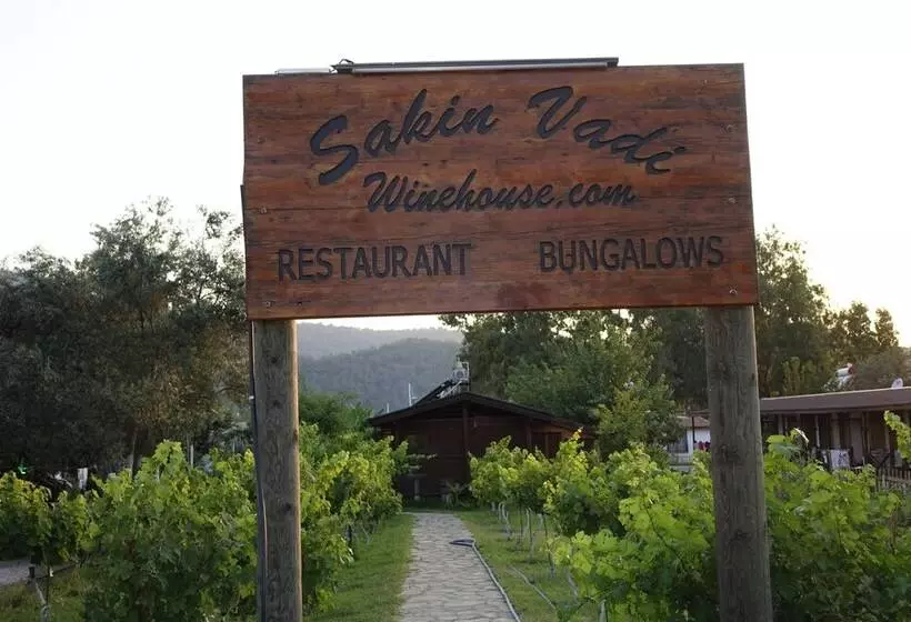 Majatalo Sakin Vadi Winehouse