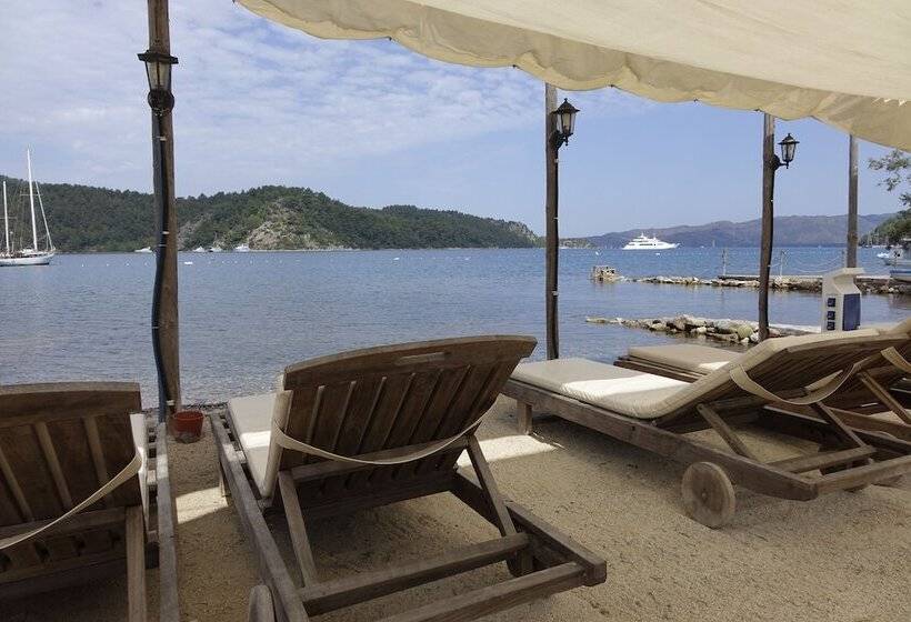 Pensão Sakin Vadi Winehouse