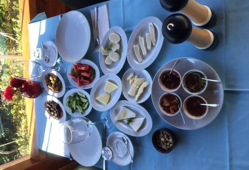 Pensão Sakin Vadi Winehouse