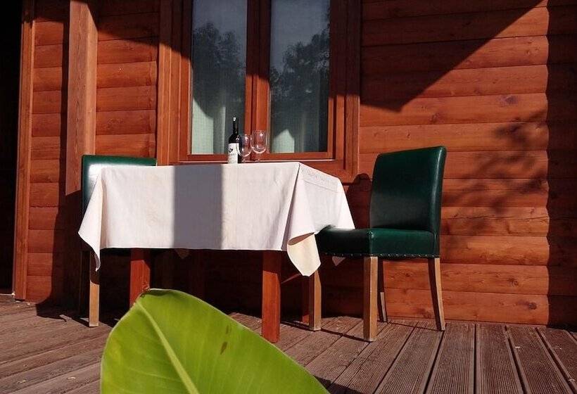 Pensão Sakin Vadi Winehouse