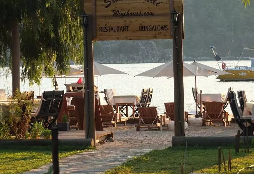 Majatalo Sakin Vadi Winehouse