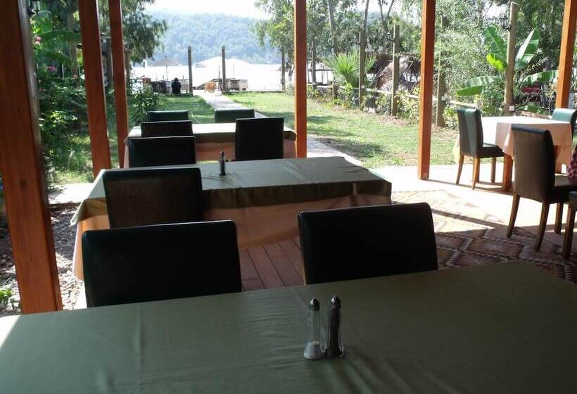 Pensão Sakin Vadi Winehouse