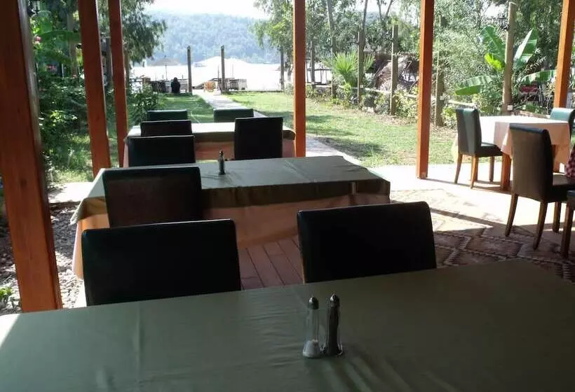 Majatalo Sakin Vadi Winehouse