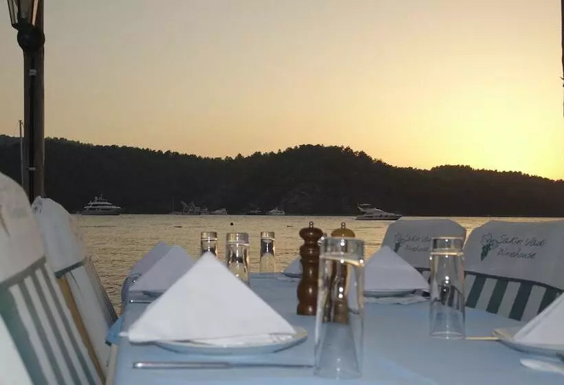 Majatalo Sakin Vadi Winehouse