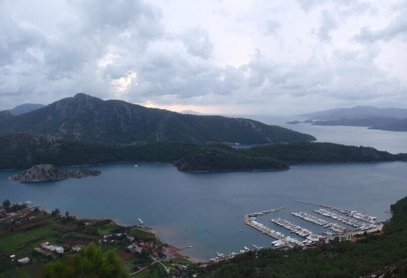 Pensão Sakin Vadi Winehouse