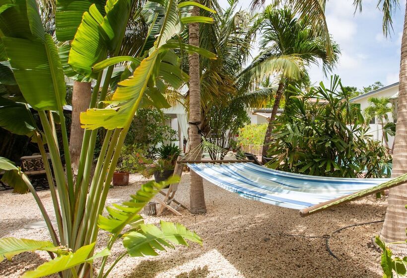 تختخواب و صبحانه Sombré Di Kabana