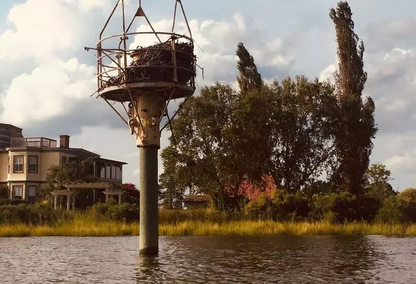 Aamiaismajoitus (B&B) The Whitehaven