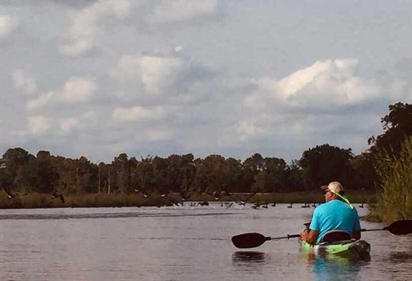 住宿加早餐 The Whitehaven