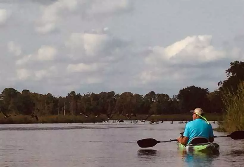 Aamiaismajoitus (B&B) The Whitehaven