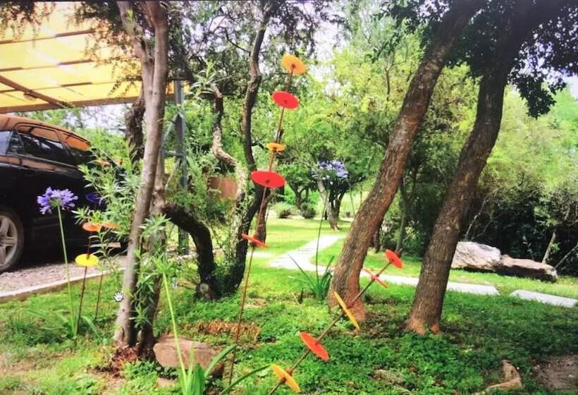 هتل Cabanas Ambay