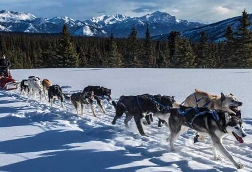 בית מלון כפרי Carriage House Accommodations