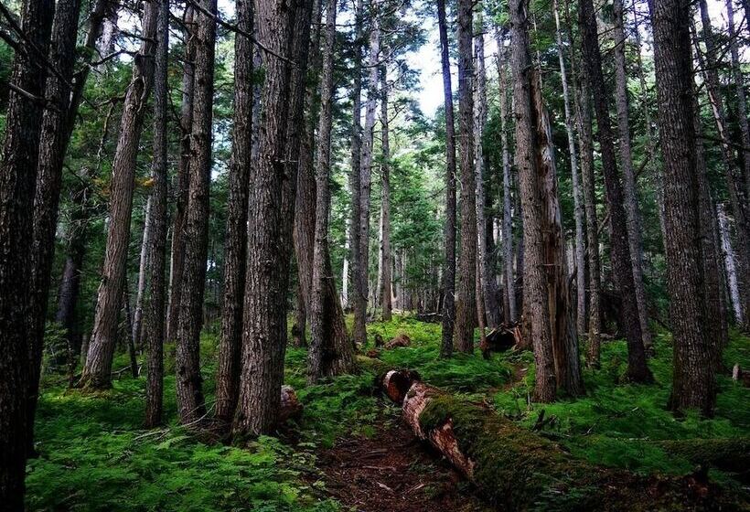 בית מלון כפרי Carriage House Accommodations
