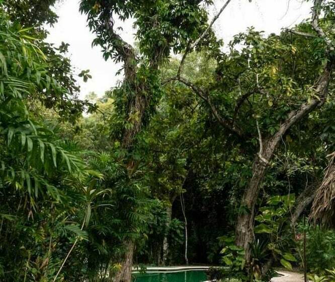 هتل Chaltunha Hostel Flores Island