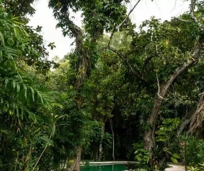هتل Chaltunha Hostel Flores Island