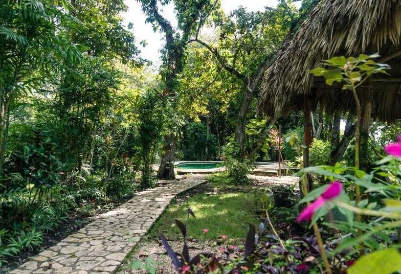 هتل Chaltunha Hostel Flores Island