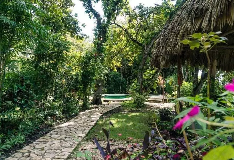 هتل Chaltunha Hostel Flores Island