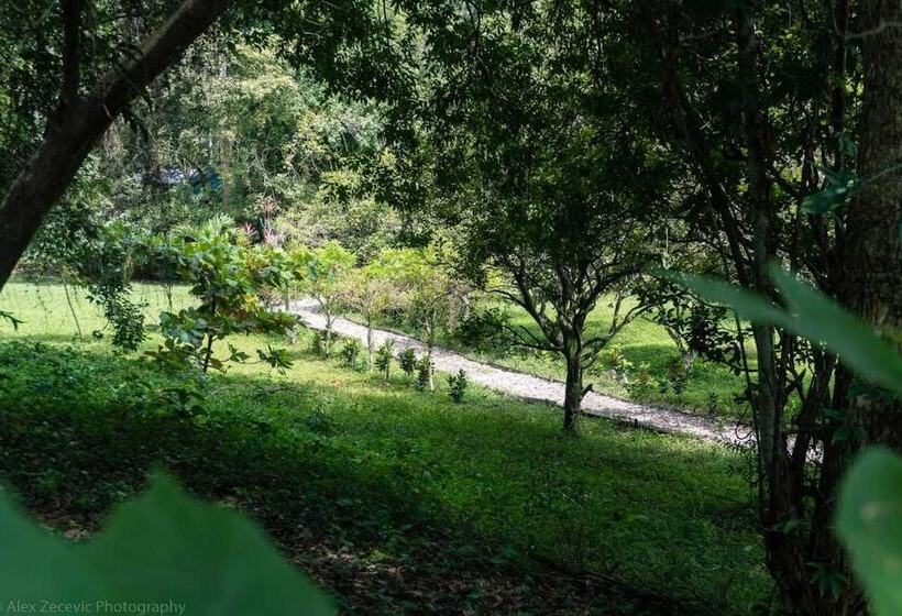 هتل Chaltunha Hostel Flores Island