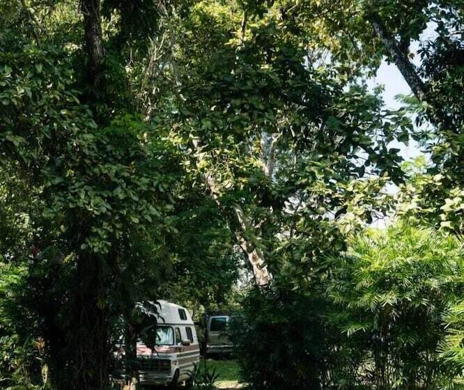 هتل Chaltunha Hostel Flores Island